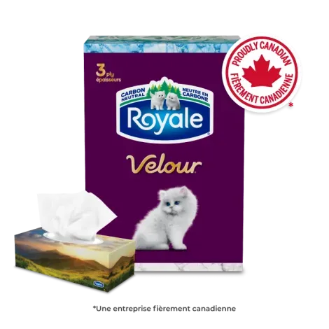 about.products.product2.title